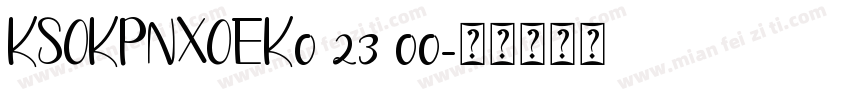 KSOKPNXOEK0 23 00字体转换